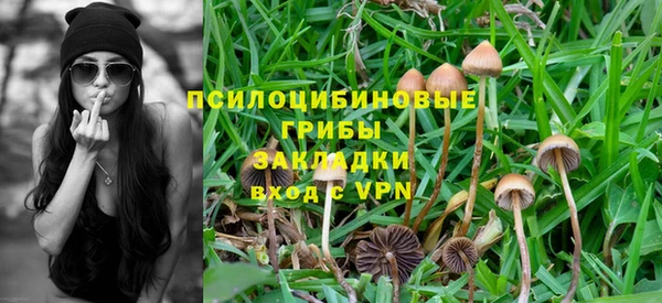 спиды Балахна