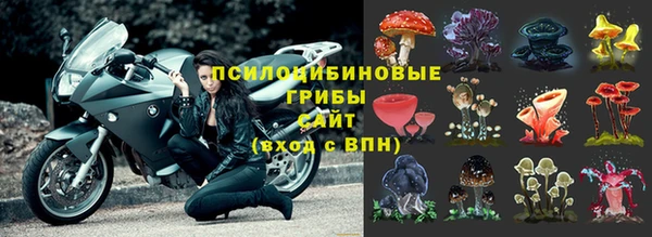 спиды Балахна
